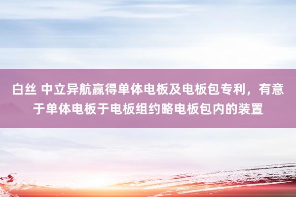 白丝 中立异航赢得单体电板及电板包专利，有意于单体电板于电板组约略电板包内的装置