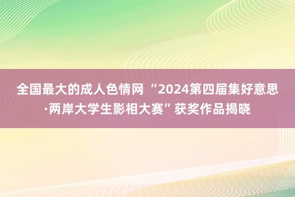 全国最大的成人色情网 “2024第四届集好意思·两岸大学生影相大赛”获奖作品揭晓