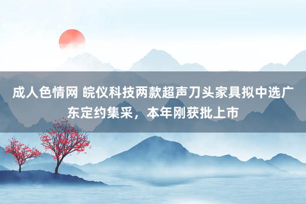 成人色情网 皖仪科技两款超声刀头家具拟中选广东定约集采，本年刚获批上市