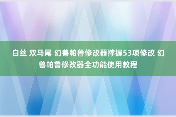 白丝 双马尾 幻兽帕鲁修改器撑握53项修改 幻兽帕鲁修改器全功能使用教程