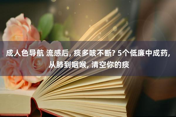 成人色导航 流感后， 痰多咳不断? 5个低廉中成药， 从肺到咽喉， 清空你的痰