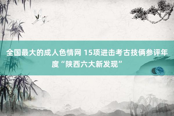 全国最大的成人色情网 15项进击考古技俩参评年度“陕西六大新发现”