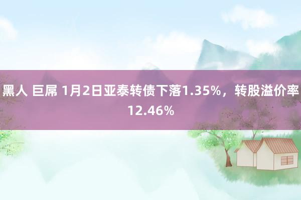 黑人 巨屌 1月2日亚泰转债下落1.35%，转股溢价率12.46%