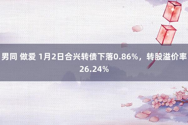 男同 做爱 1月2日合兴转债下落0.86%，转股溢价率26.24%