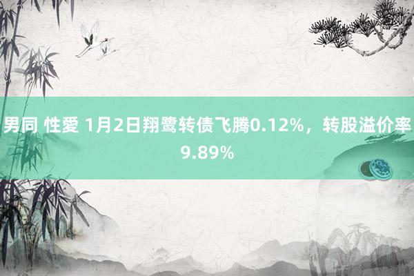 男同 性愛 1月2日翔鹭转债飞腾0.12%，转股溢价率9.89%
