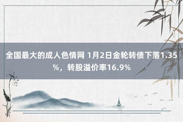 全国最大的成人色情网 1月2日金轮转债下落1.35%，转股溢价率16.9%