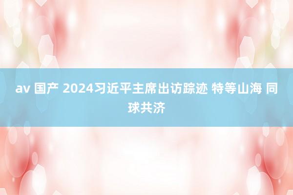 av 国产 2024习近平主席出访踪迹 特等山海 同球共济
