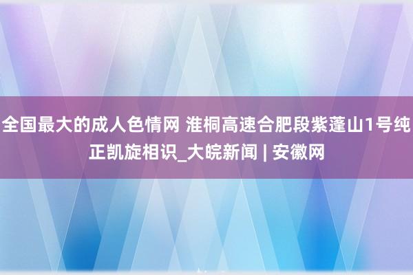 全国最大的成人色情网 淮桐高速合肥段紫蓬山1号纯正凯旋相识_大皖新闻 | 安徽网