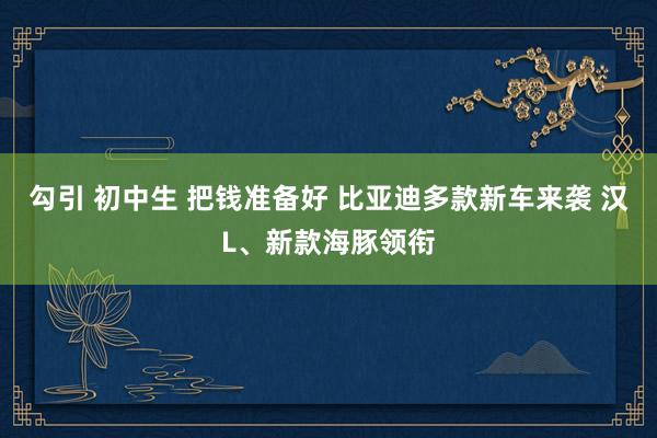 勾引 初中生 把钱准备好 比亚迪多款新车来袭 汉L、新款海豚领衔