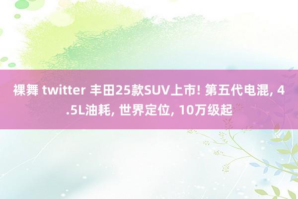 裸舞 twitter 丰田25款SUV上市! 第五代电混， 4.5L油耗， 世界定位， 10万级起