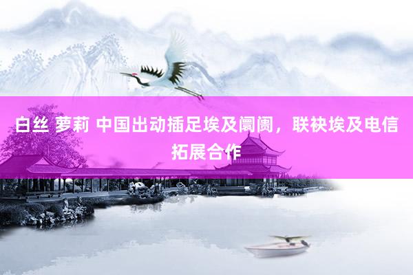 白丝 萝莉 中国出动插足埃及阛阓，联袂埃及电信拓展合作