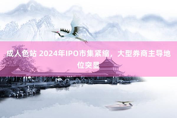 成人色站 2024年IPO市集紧缩，大型券商主导地位突显