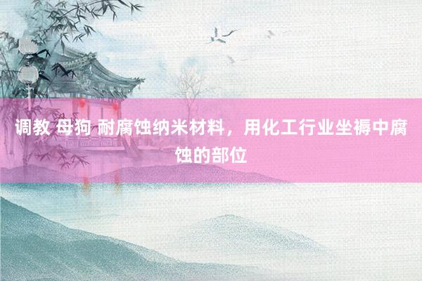 调教 母狗 耐腐蚀纳米材料，用化工行业坐褥中腐蚀的部位