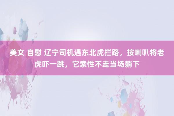 美女 自慰 辽宁司机遇东北虎拦路，按喇叭将老虎吓一跳，它索性不走当场躺下