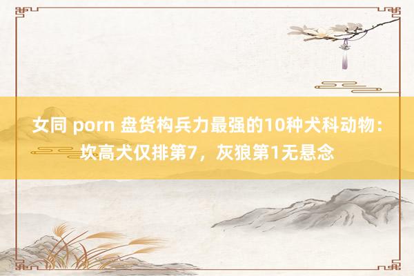 女同 porn 盘货构兵力最强的10种犬科动物：坎高犬仅排第7，灰狼第1无悬念