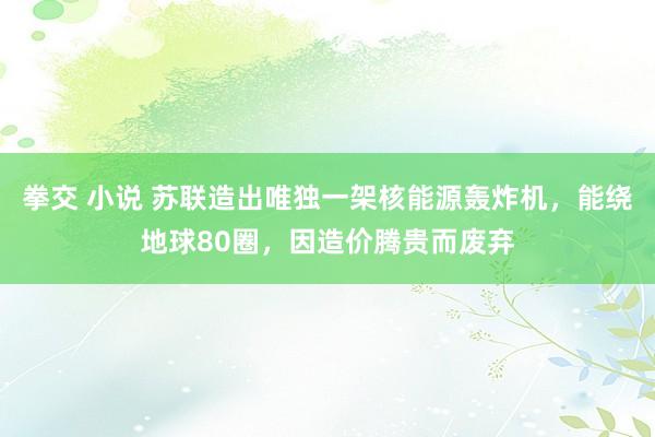 拳交 小说 苏联造出唯独一架核能源轰炸机，能绕地球80圈，因造价腾贵而废弃