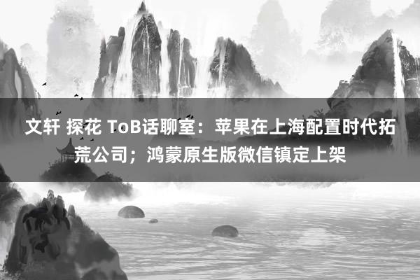 文轩 探花 ToB话聊室：苹果在上海配置时代拓荒公司；鸿蒙原生版微信镇定上架