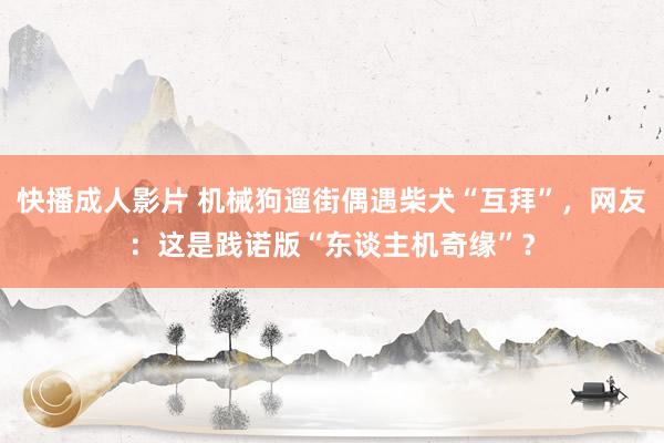 快播成人影片 机械狗遛街偶遇柴犬“互拜”，网友：这是践诺版“东谈主机奇缘”？