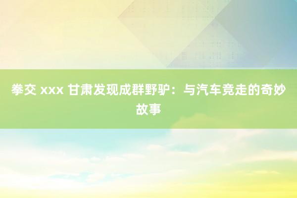 拳交 xxx 甘肃发现成群野驴：与汽车竞走的奇妙故事