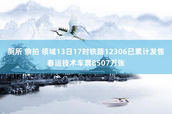 厕所 偷拍 领域13日17时铁路12306已累计发售春运技术车票8507万张
