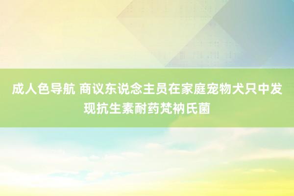 成人色导航 商议东说念主员在家庭宠物犬只中发现抗生素耐药梵衲氏菌