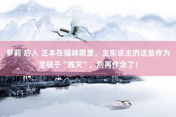 萝莉 后入 正本在猫咪眼里，主东谈主的这些作为至极于“毁灭”，别再作念了！