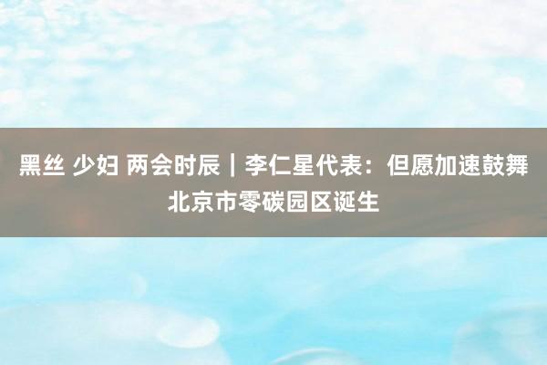 黑丝 少妇 两会时辰｜李仁星代表：但愿加速鼓舞北京市零碳园区诞生