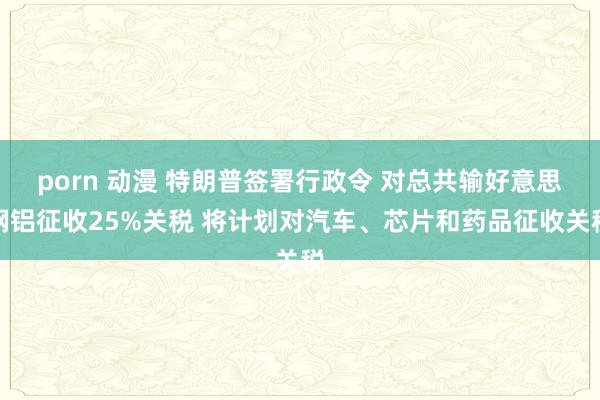 porn 动漫 特朗普签署行政令 对总共输好意思钢铝征收25%关税 将计划对汽车、芯片和药品征收关税