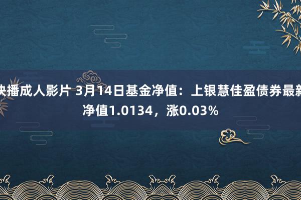 快播成人影片 3月14日基金净值：上银慧佳盈债券最新净值1.0134，涨0.03%