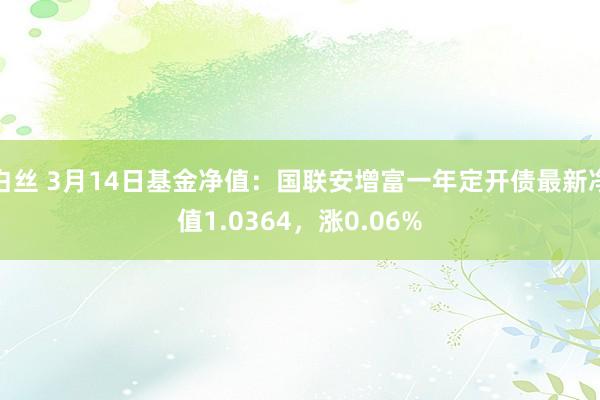 白丝 3月14日基金净值：国联安增富一年定开债最新净值1.0364，涨0.06%