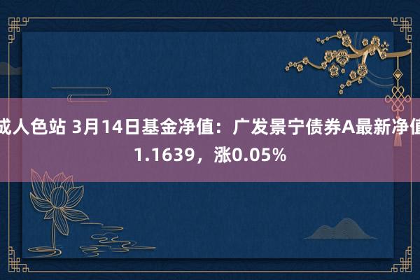 成人色站 3月14日基金净值：广发景宁债券A最新净值1.1639，涨0.05%