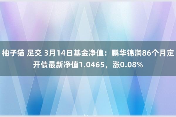 柚子猫 足交 3月14日基金净值：鹏华锦润86个月定开债最新净值1.0465，涨0.08%