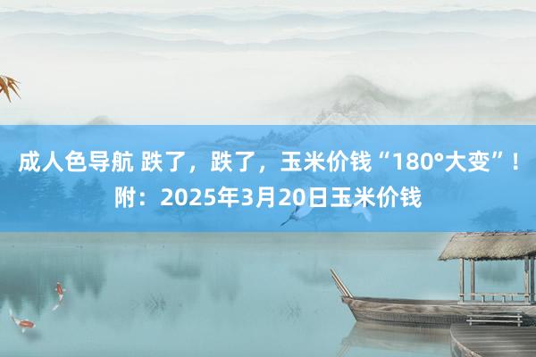 成人色导航 跌了，跌了，玉米价钱“180°大变”！附：2025年3月20日玉米价钱