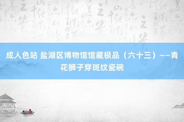 成人色站 盐湖区博物馆馆藏极品（六十三）——青花狮子穿斑纹瓷碗