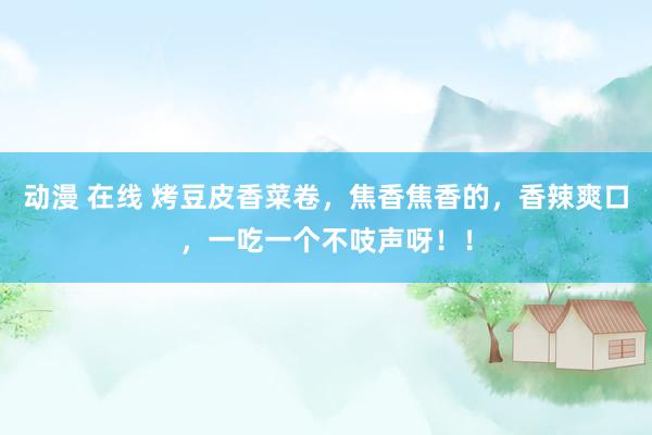 动漫 在线 烤豆皮香菜卷，焦香焦香的，香辣爽口，一吃一个不吱声呀！！