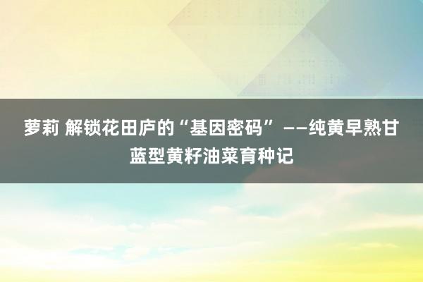 萝莉 解锁花田庐的“基因密码” ——纯黄早熟甘蓝型黄籽油菜育种记
