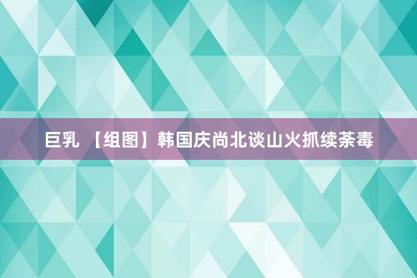巨乳 【组图】韩国庆尚北谈山火抓续荼毒