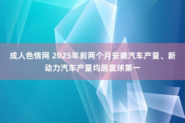 成人色情网 2025年前两个月安徽汽车产量、新动力汽车产量均居寰球第一