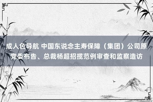 成人色导航 中国东说念主寿保障（集团）公司原党委布告、总裁杨超招揽范例审查和监察造访