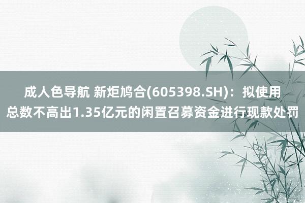 成人色导航 新炬鸠合(605398.SH)：拟使用总数不高出1.35亿元的闲置召募资金进行现款处罚