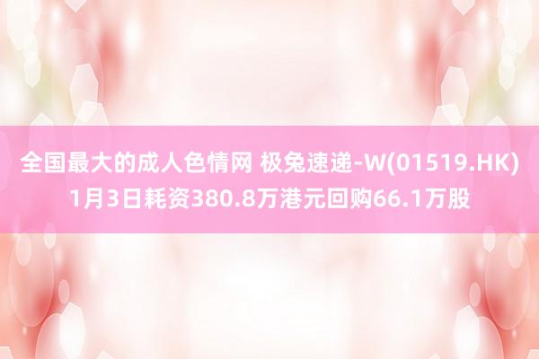 全国最大的成人色情网 极兔速递-W(01519.HK)1月3日耗资380.8万港元回购66.1万股