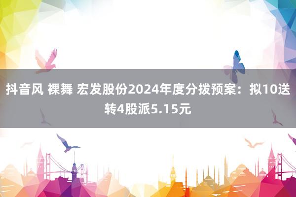 抖音风 裸舞 宏发股份2024年度分拨预案：拟10送转4股派5.15元