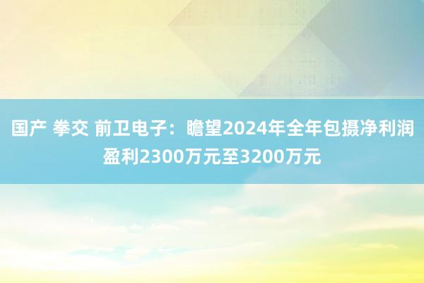 国产 拳交 前卫电子：瞻望2024年全年包摄净利润盈利2300万元至3200万元