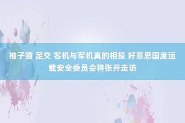 柚子猫 足交 客机与军机真的相撞 好意思国度运载安全委员会将张开走访