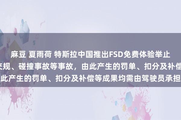 麻豆 夏雨荷 特斯拉中国推出FSD免费体验举止：为期1个月！出现违背交规、碰撞事故等事故，由此产生的罚单、扣分及补偿等成果均需由驾驶员承担