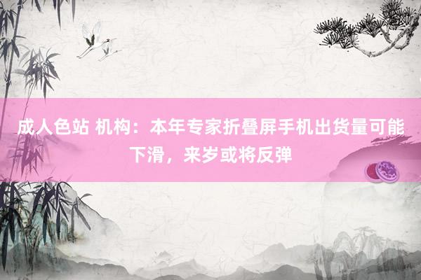 成人色站 机构：本年专家折叠屏手机出货量可能下滑，来岁或将反弹