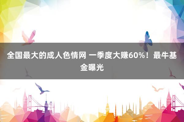 全国最大的成人色情网 一季度大赚60%！最牛基金曝光