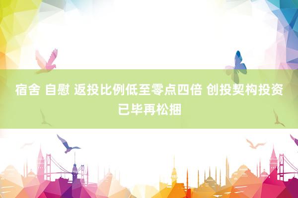宿舍 自慰 返投比例低至零点四倍 创投契构投资已毕再松捆