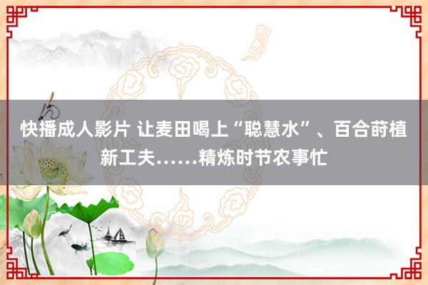 快播成人影片 让麦田喝上“聪慧水”、百合莳植新工夫……精炼时节农事忙