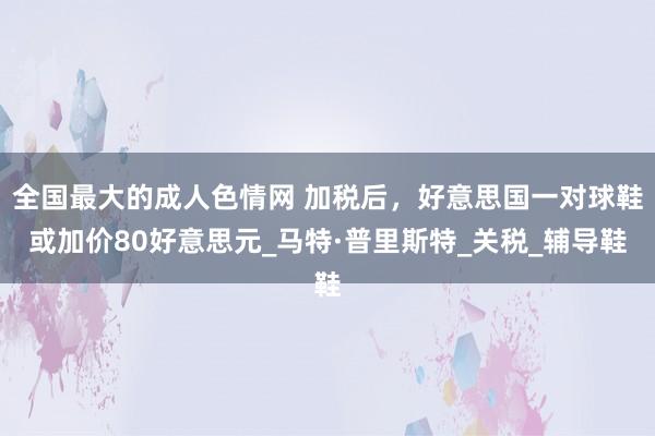 全国最大的成人色情网 加税后，好意思国一对球鞋或加价80好意思元_马特·普里斯特_关税_辅导鞋
